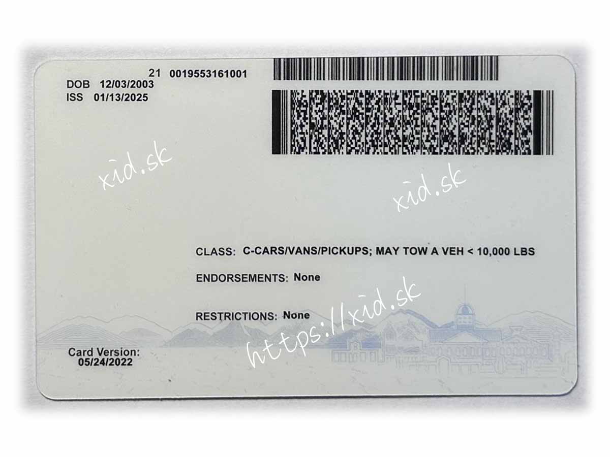 Nevada ID (New) - Image 2