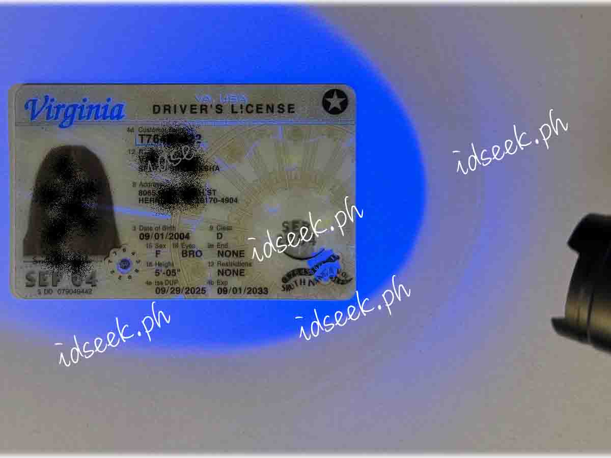 Virginia (New) - Image 2